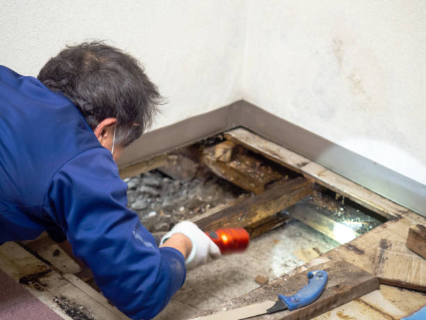 Water Damage Restoration in Beale Af, CA