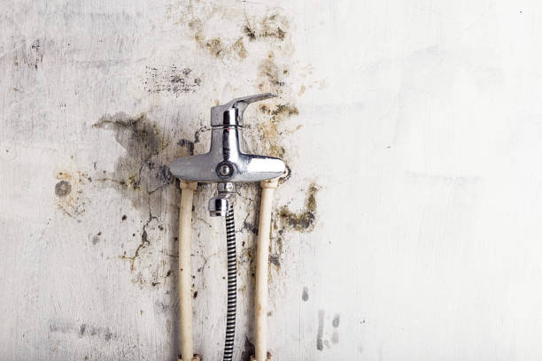 Beale Af, CA Mold Removal Company