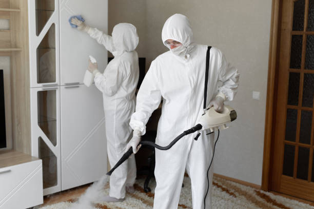 Best Black Mold Removal  in Beale Af, CA