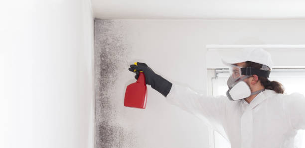 Best Residential Mold Removal  in Beale Af, CA