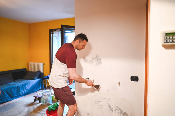 Best Home Mold Removal  in Beale Af, CA